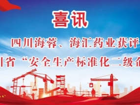 海蓉、海匯藥業(yè)獲評“安全生產(chǎn)標(biāo)準(zhǔn)化二級企業(yè)”